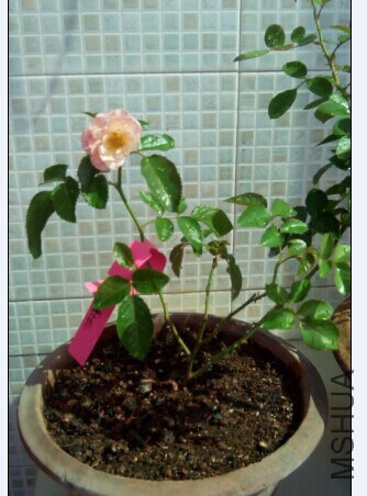 QQͼƬ20141007160637.jpg