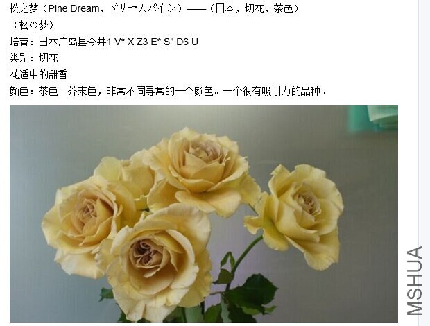 QQͼƬ20141007171607.jpg