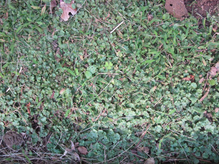 IMG_8118_����.jpg