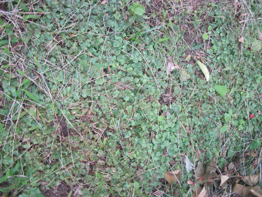 IMG_8120_����.jpg