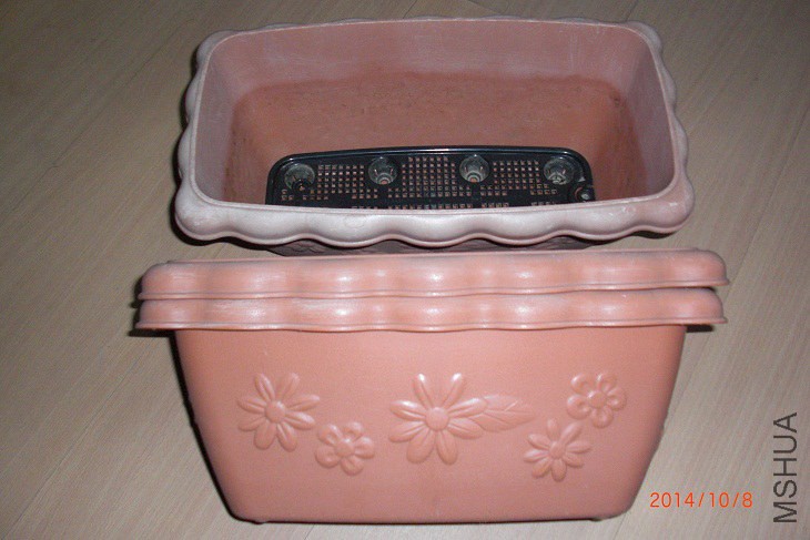 CIMG7805.JPG