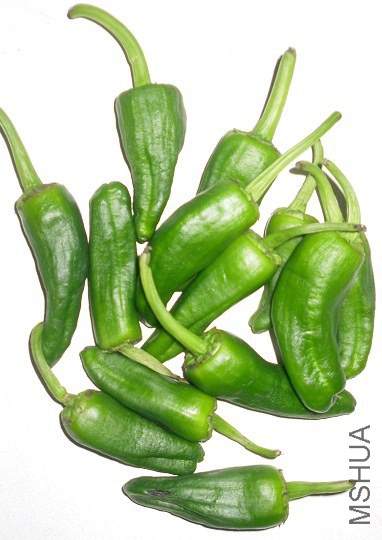 Por-qu��-los-pimientos-de-Padr��n-unos-pican-y-otros-no.jpg