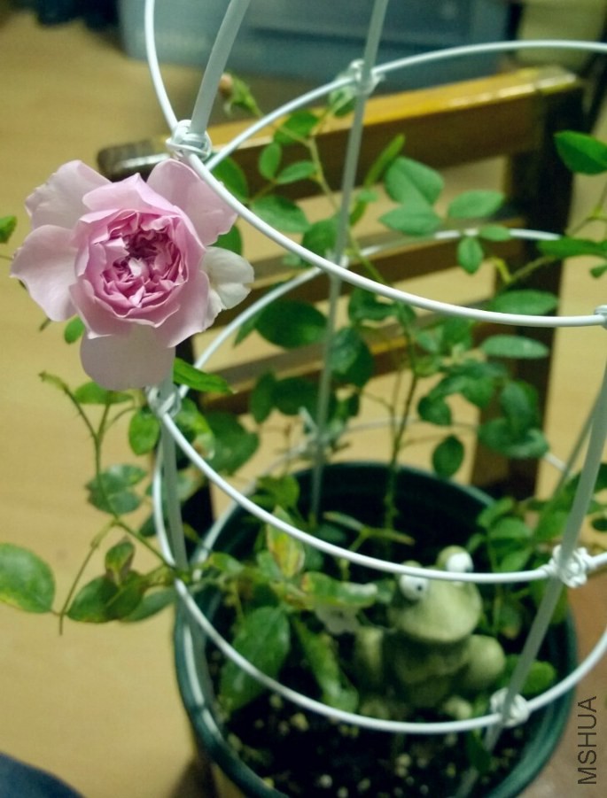 QQͼƬ20141009084826.jpg