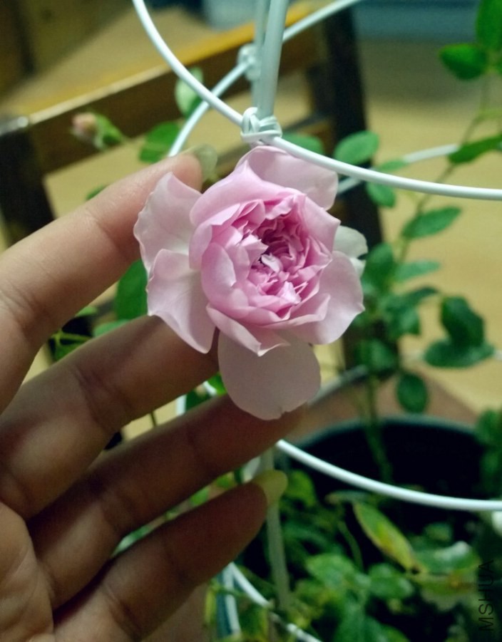 QQͼƬ20141009084831.jpg