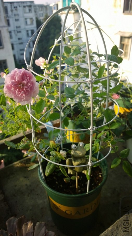 QQͼƬ20141009084755.jpg