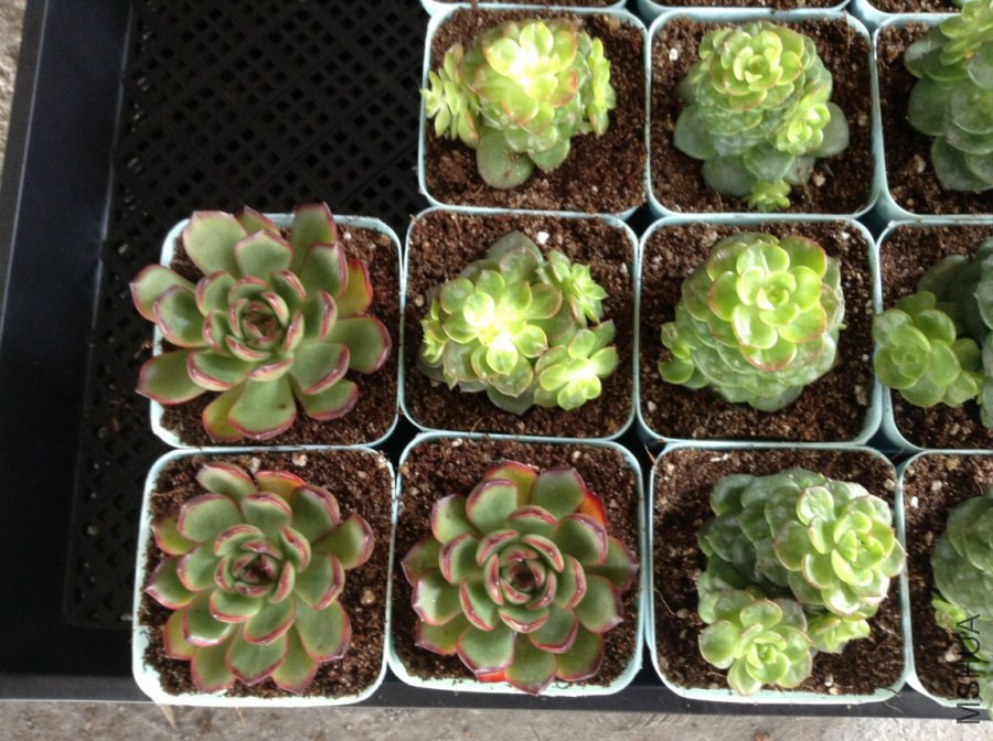 QQͼƬ20141009092926.jpg