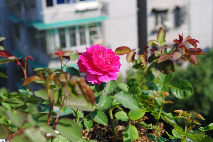 �췽ҹ̷2.jpg