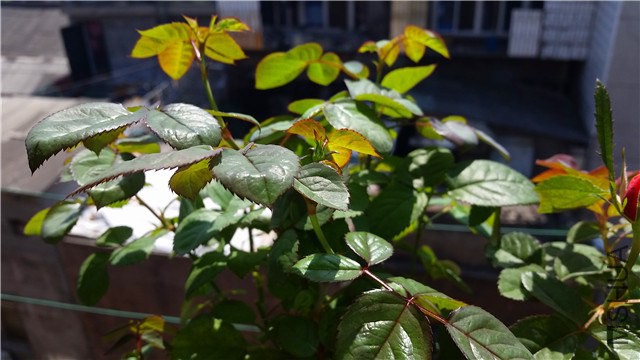 20141007_122445_����.jpg