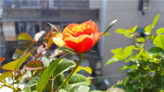 20141009_124633_����.jpg