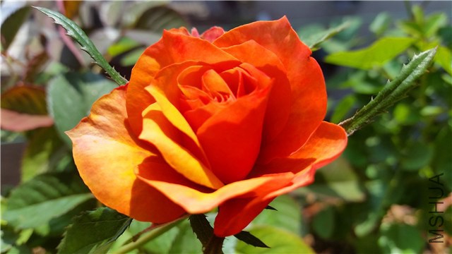 20141009_124641_����.jpg
