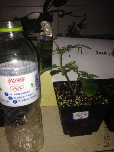 image.jpg