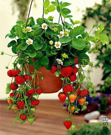20120512191729_GXtnZ_thumb_600_0.jpg