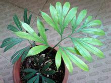 20120820142032823_5822.jpg