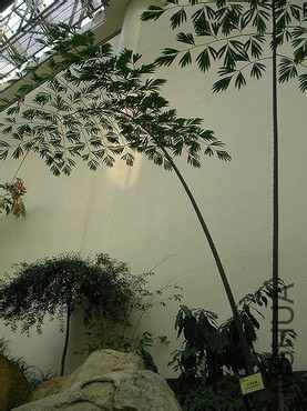 d6ca7bcb0a46f21f11b1fe7ff6246b600c33ae11.jpg