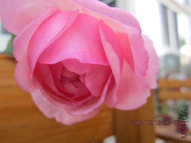 IMG_4822.JPG