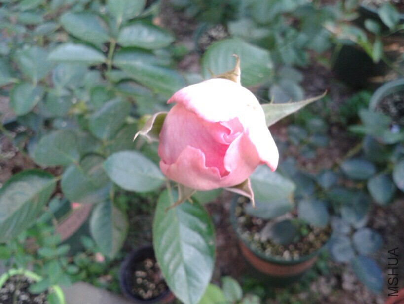 QQͼƬ20141010223032.jpg