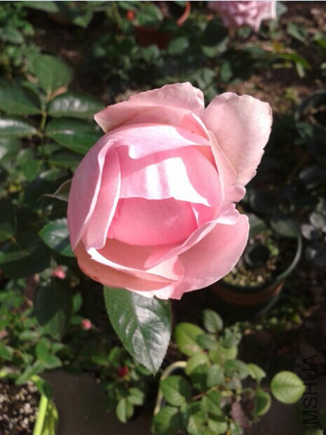 QQͼƬ20141010221411.jpg