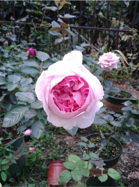 QQͼƬ20141010221853.jpg