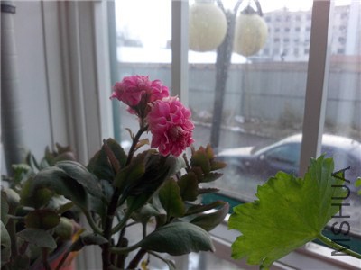 IMG20140206020.jpg