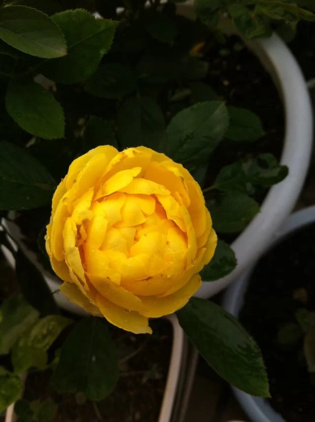 psb (9).jpg