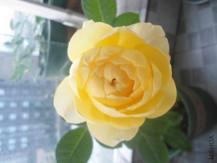 DSC03166.JPG