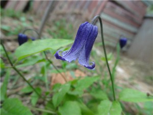 2_����.jpg