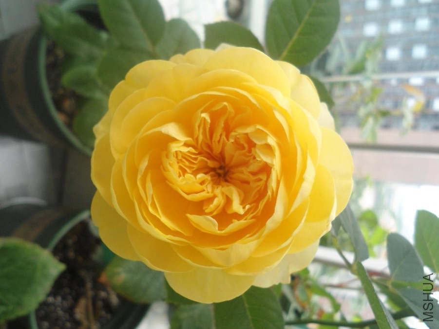 DSC03169.JPG