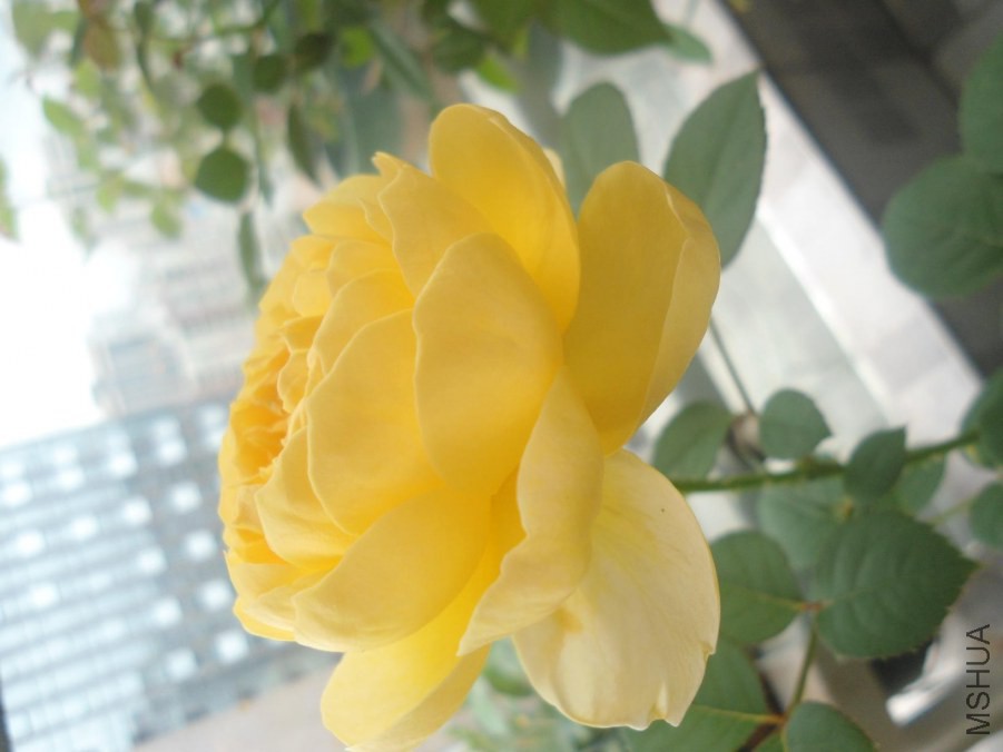 DSC03170.JPG