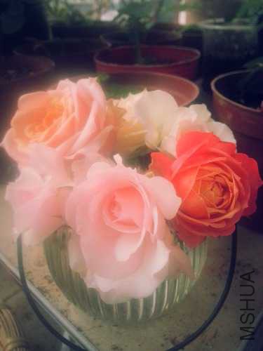 20141011_171448.jpg