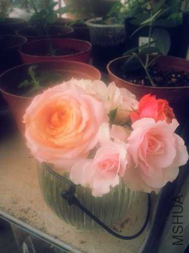 20141011_171359.jpg