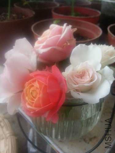 20141011_171303.jpg