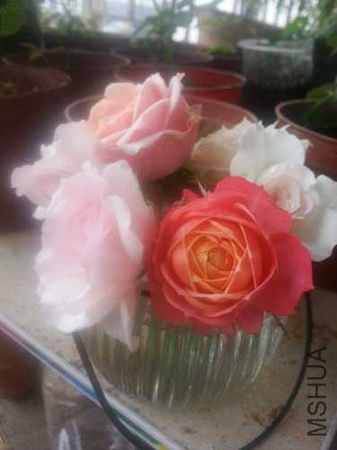 20141011_171221.jpg