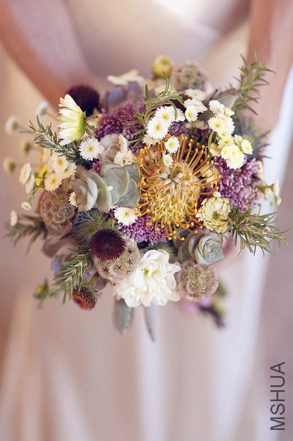20120105162820_ZdVhx.jpg