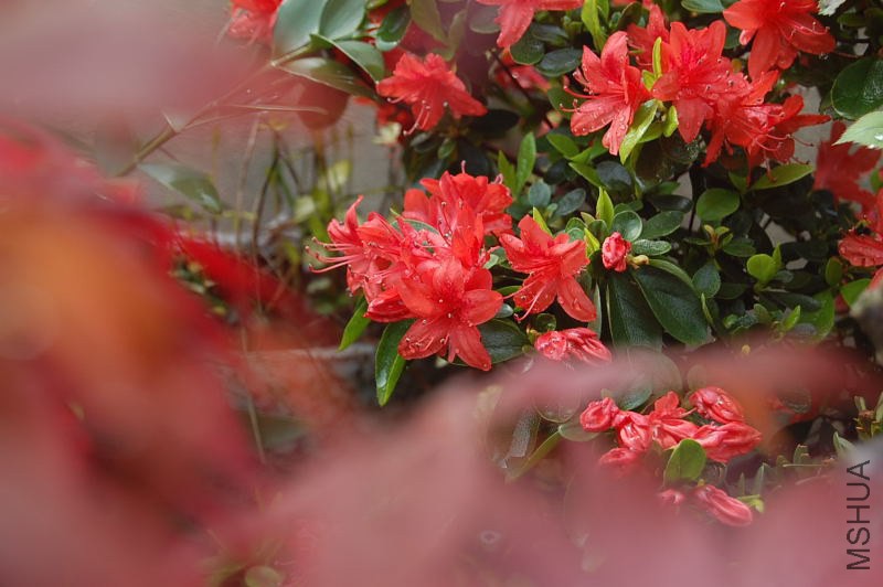 DSC_02340234.JPG