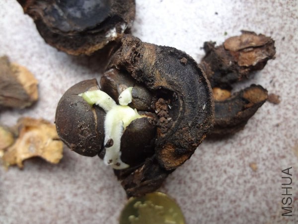 ynzq20141011-100_106 600.jpg