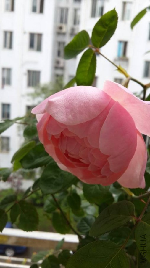 QQͼƬ20140427171832.jpg