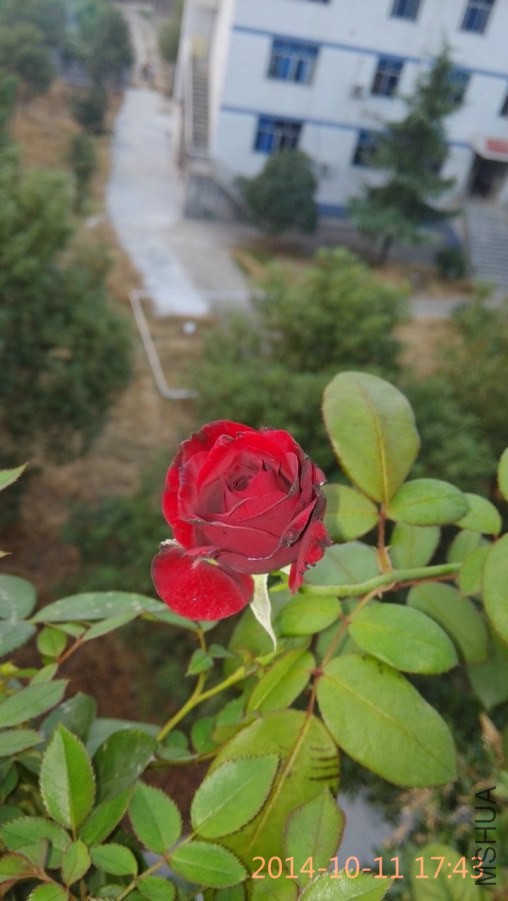 IMG_20141011_174352_1.jpg