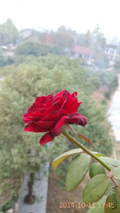 IMG_20141011_174513_1.jpg