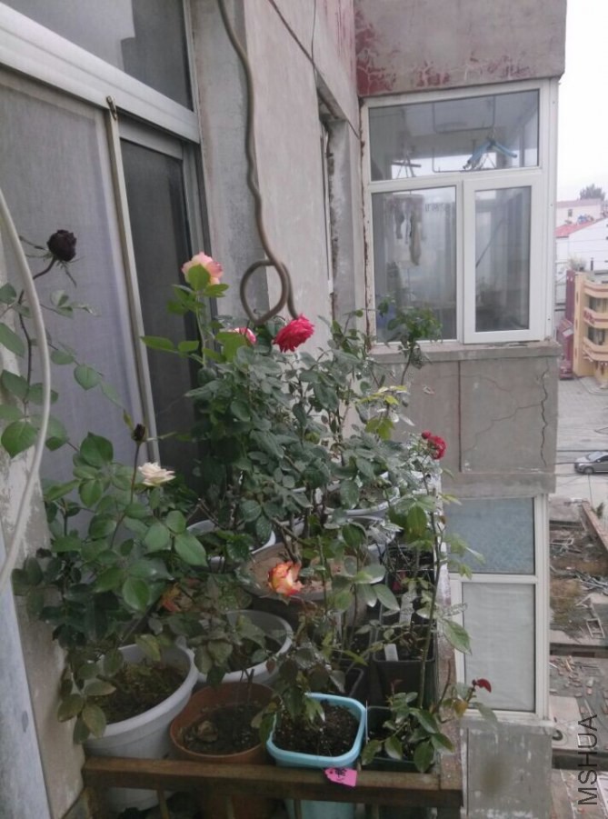 QQͼƬ20141012093227.jpg