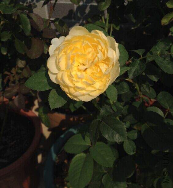 QQͼƬ20141012112330.jpg