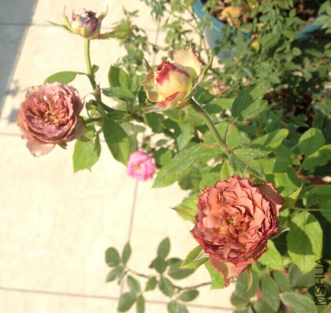 QQͼƬ20141012112342.jpg