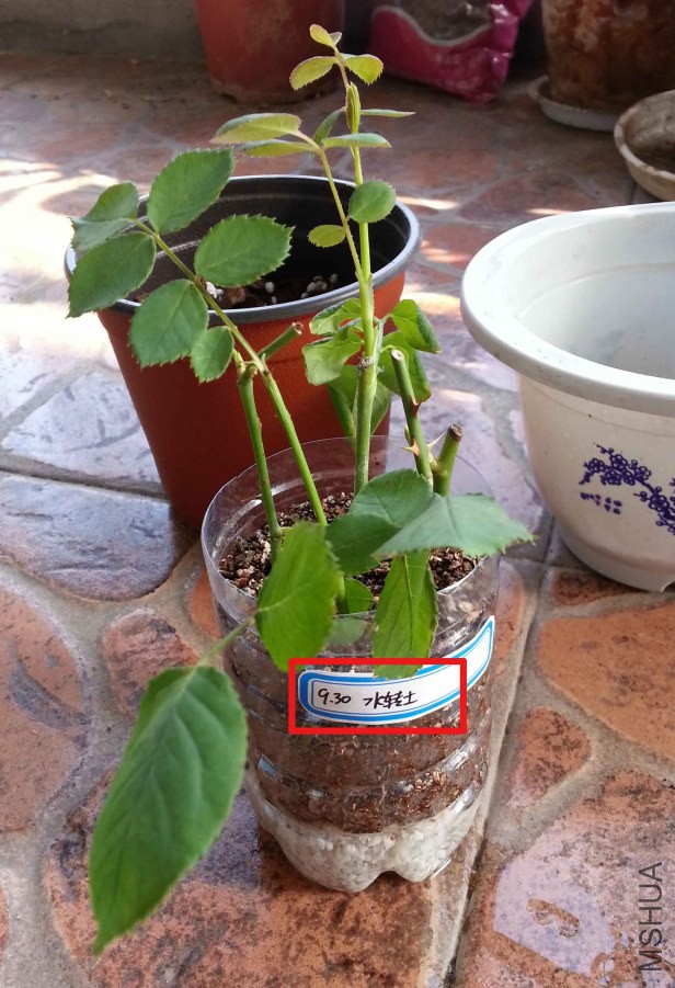 20141011_150939.jpg