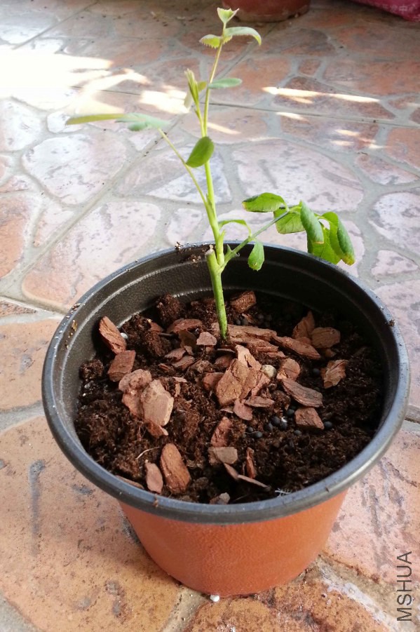 20141011_151459.jpg