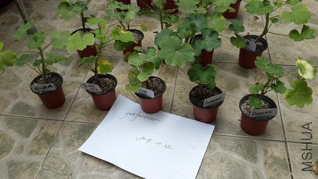 20141012_124535.jpg