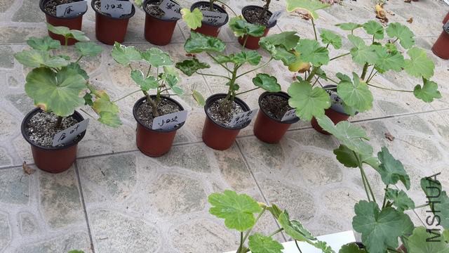 20141012_124555.jpg