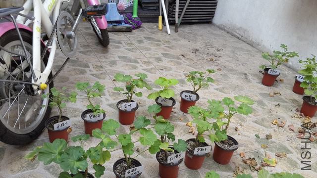 20141012_124634.jpg