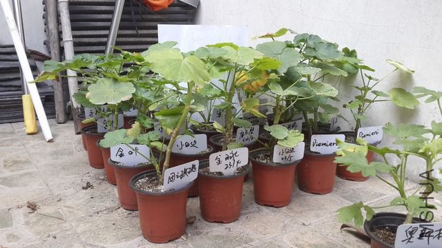 20141012_124921.jpg