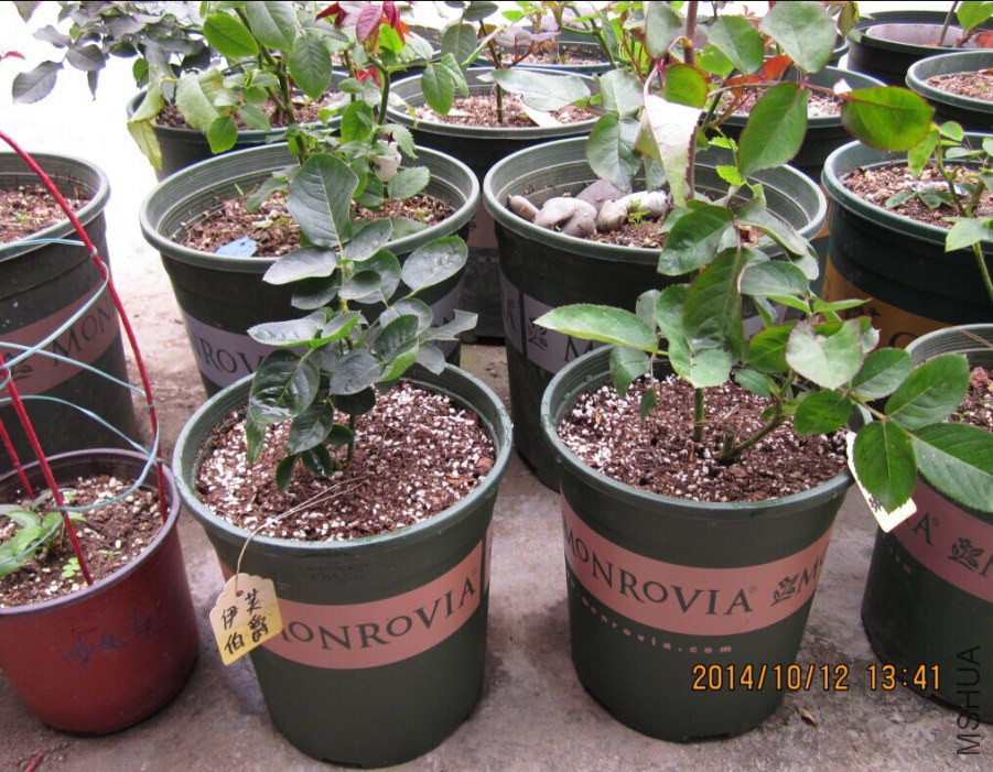 QQͼƬ20080812165558.jpg