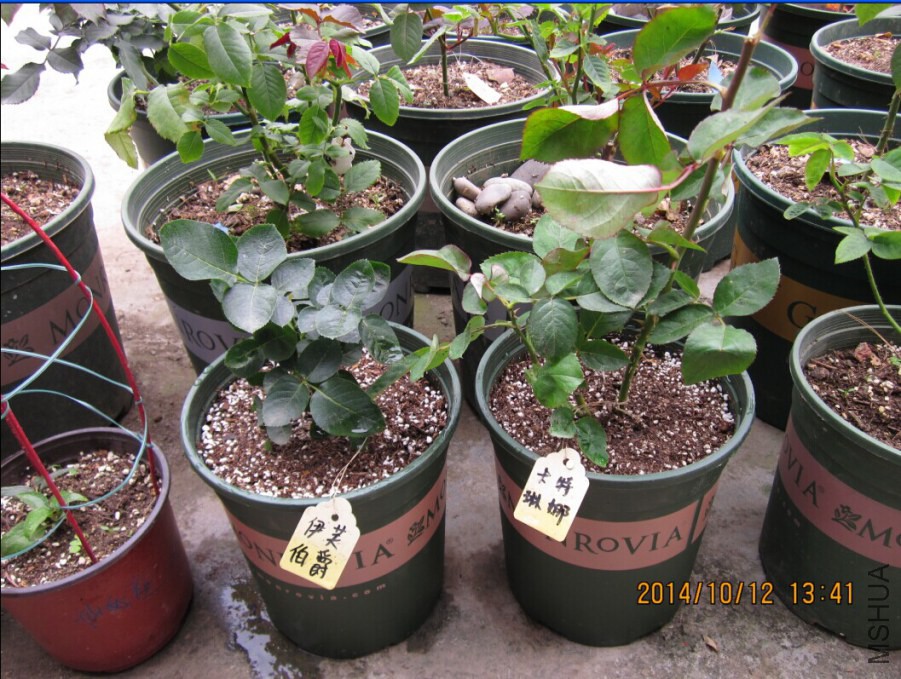 QQͼƬ20080812165601.jpg