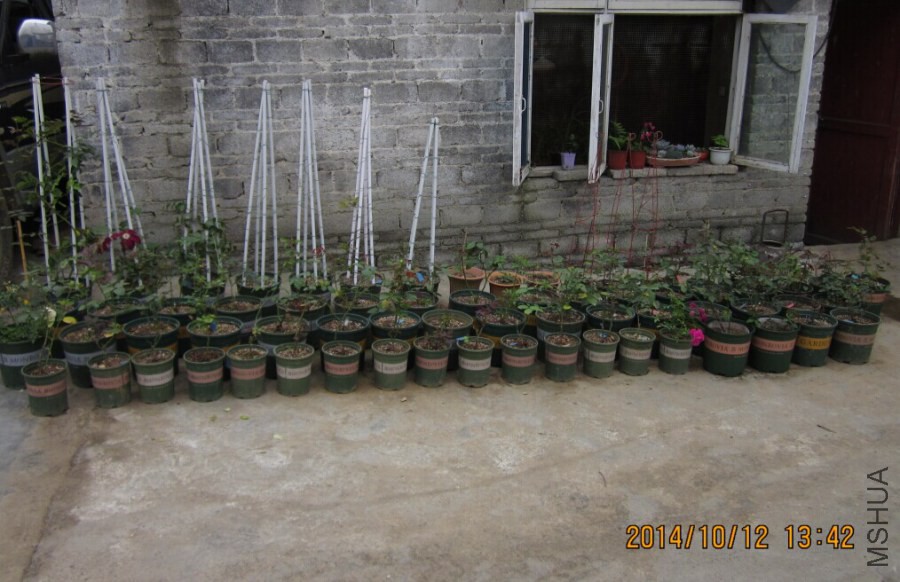QQͼƬ20080812165610.jpg